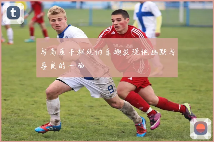 与乌度卡相处的乐趣发现他幽默与善良的一面