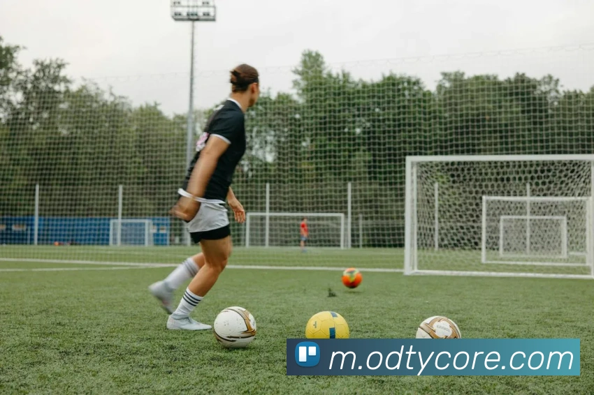 App Interface Preview