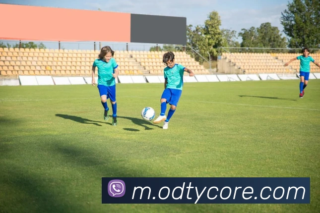 OD体育APP 封面图